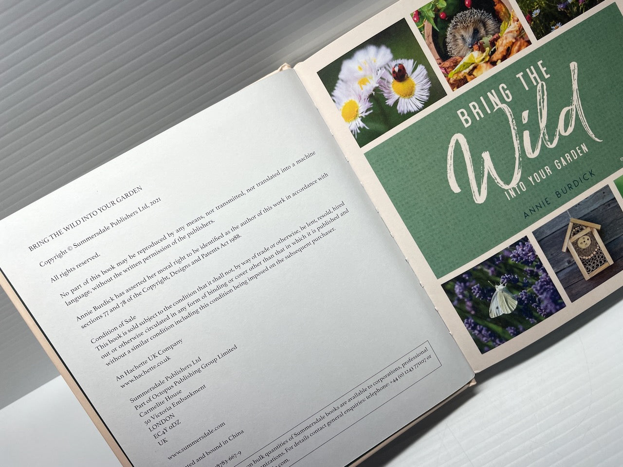 Bring the Wild into Your Garden: Simple Tips for Creating a Wildlife Haven
