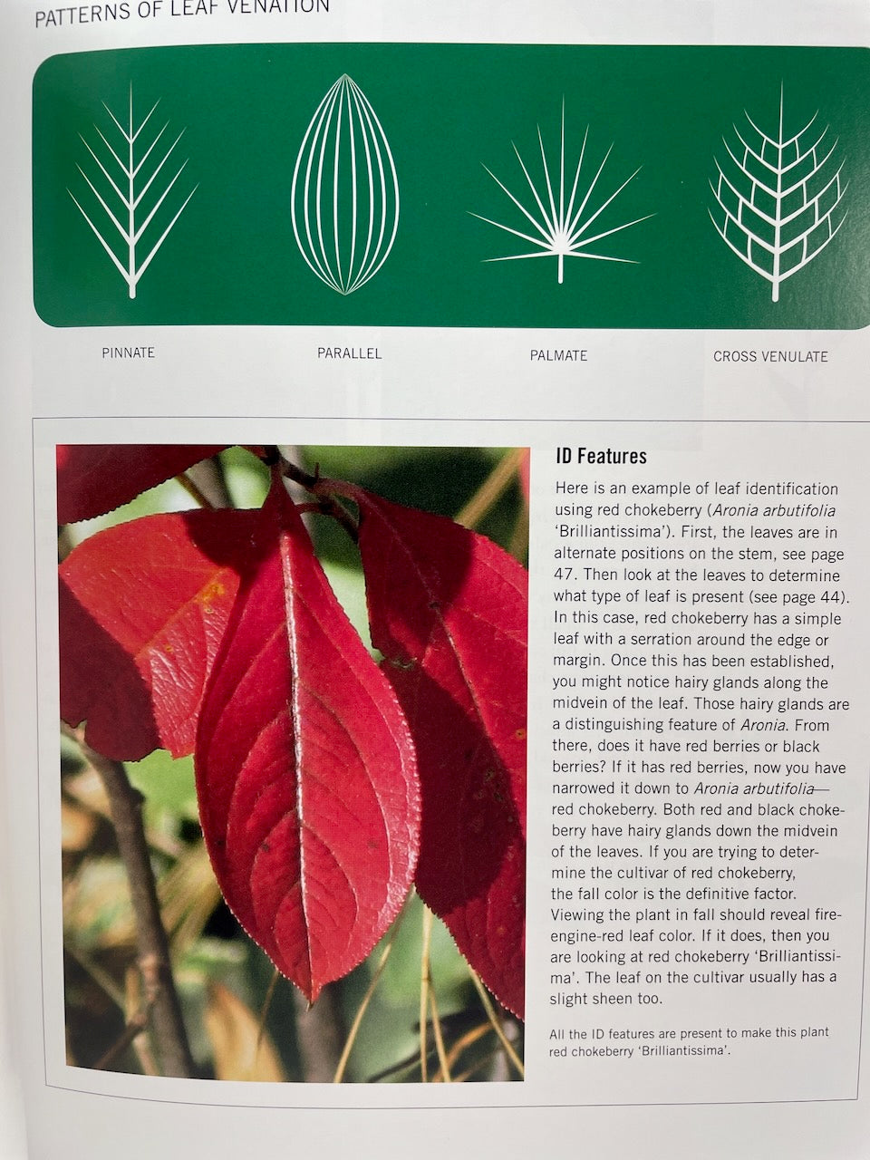 Shrubs & Hedges: Discover, Grow, and Care for the World’s Most Popular Plants