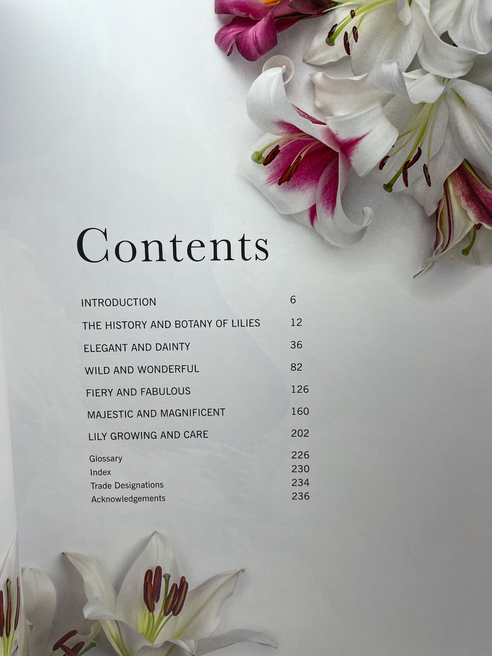 Lilies - Beautiful Varieties for Home and Garden