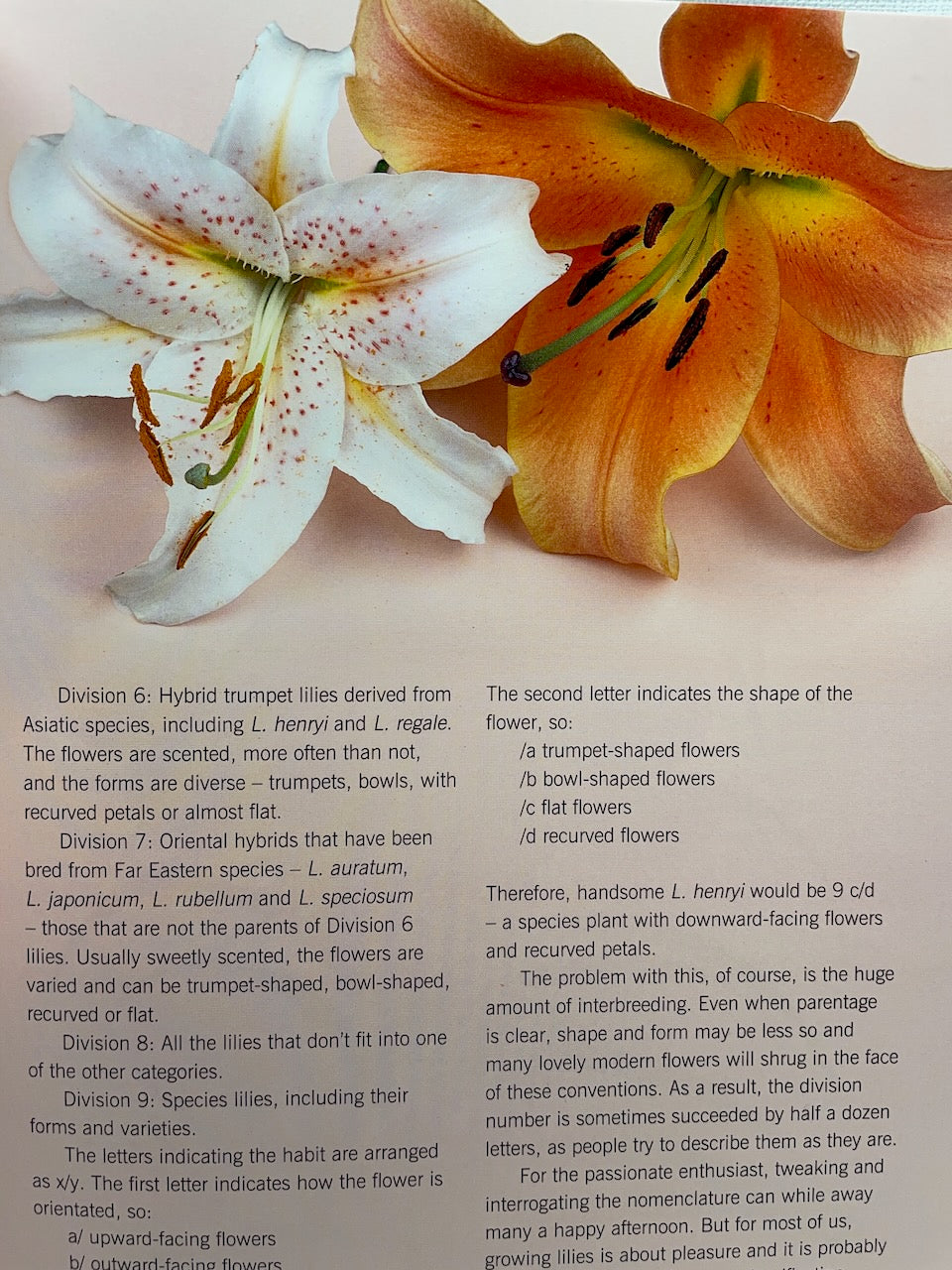 Lilies - Beautiful Varieties for Home and Garden