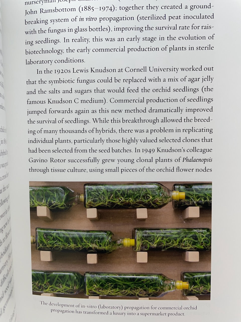 House Plants by Mike Maunder – A Fascinating Exploration of Indoor Greenery
