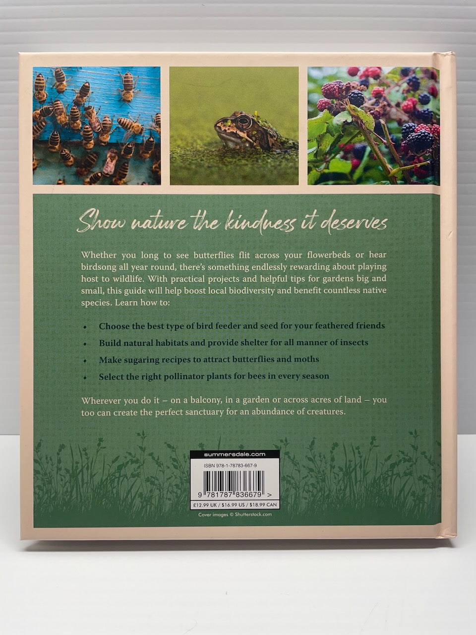 Bring the Wild into Your Garden: Simple Tips for Creating a Wildlife Haven