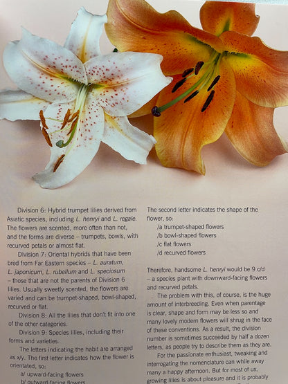 Lilies - Beautiful Varieties for Home and Garden