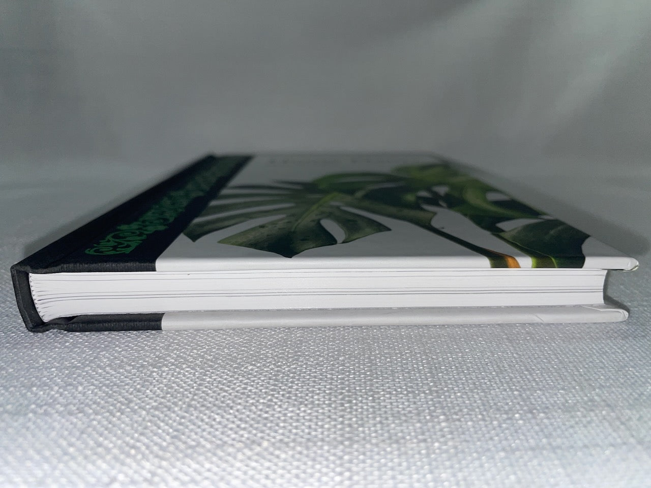 House Plants by Mike Maunder – A Fascinating Exploration of Indoor Greenery
