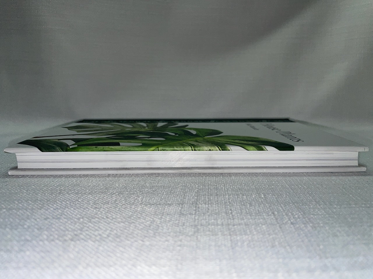 House Plants by Mike Maunder – A Fascinating Exploration of Indoor Greenery