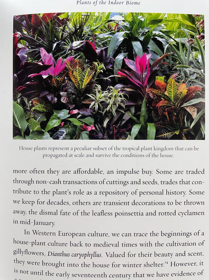 House Plants by Mike Maunder – A Fascinating Exploration of Indoor Greenery
