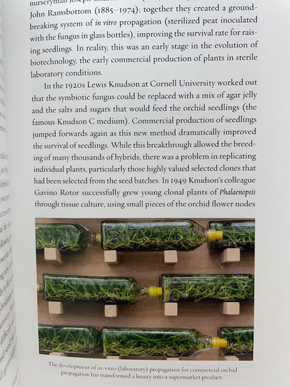 House Plants by Mike Maunder – A Fascinating Exploration of Indoor Greenery